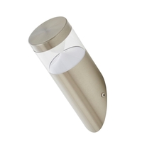 Asher Angled Outdoor Wall Light,  Stainless Steel