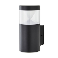 Asher Outdoor Wall Light,  Black