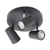 Barley Spotlight Plate,  Matte Black