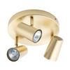 Barley Spotlight Plate,  Satin Brass