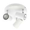 Barley Spotlight Plate,  White