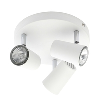 Barley Spotlight Plate,  White