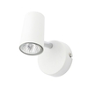 Barley Spotlight,  White
