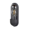 Bolus Outdoor Wall Light,  Anthracite