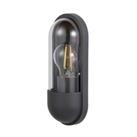 Bolus Outdoor Wall Light,  Anthracite