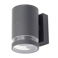 Cinder Outdoor Wall Light with Photocell,  Anthracite