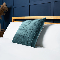 Cotton Velvet Cushion with Embroidered Design,  Petrol