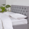 Dreamy Nights All Natural Goose Feather & Down Pillow Pair,  White