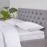 Dreamy Nights All Natural Goose Feather & Down Pillow Pair,  White