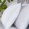 Dreamy Nights Eco-Friendly Recycled Pillow Pair,  White