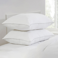 Dreamy Nights Overfilled Duck Feather Pillow Pair,  White