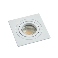 Faina Adjustable Square Recessed Downlight,  White