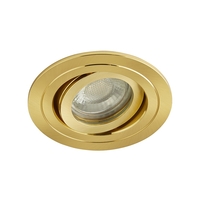 Fion Circular IP65 Tiltable Downlight,  Satin Brass