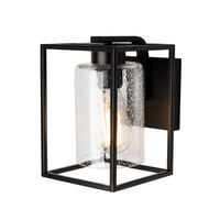 Hardy Cage Wall Light with Bubble Glass Shade,  Matte Black