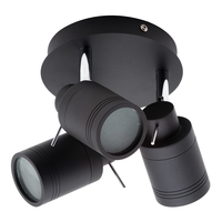 Hector Bathroom Ceiling Spotlight Plate,  Matte Black