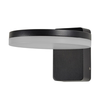 Huck Outdoor LED Wall Light,  Black