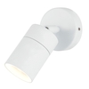 Jared Outdoor Wall Light,  White