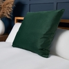 Large Velour Cushion,  Green