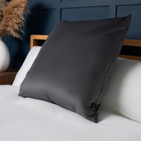 Large Velour Cushion,  Silver