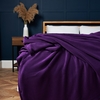 Microfleece Throw,  Plum