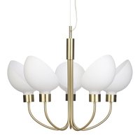 Moa Modern Chandelier,  Brass