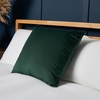 Small Velour Cushion,  Green