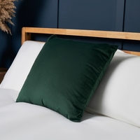 Small Velour Cushion,  Green
