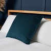 Small Velour Cushion,  Teal