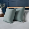 Twin Pack of Cushions,  Sage