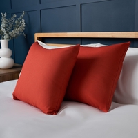 Twin Pack of Cushions,  Terracotta