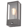 Wallace Outdoor Wall Light with PIR Sensor,  Black