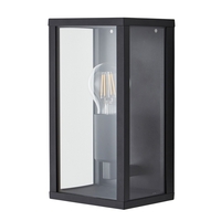 Waylon Outdoor Glass Panel Wall Light,  Black