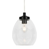 Zeta Clear Glass Bathroom Ceiling Pendant,  Satin Black