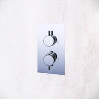 Axel Concealed Shower Valve - 2 Outlet - Chrome