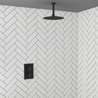 Black Concealed Shower MixerwithDual Control & Ceiling Wall Mounted Head - Arissa