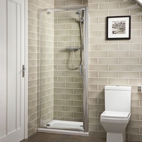 Pivot Shower Door 760mm - 6mm Glass - Aqualine Range