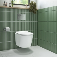 Wall Hung Rimless Toilet with Soft Close Seat - Newport