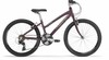 Ridgeback Dimension,  Girls Bike,  24 Inch Wheel,  2014-Purple