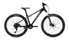 WHYTE 403 V1 13" Matt Granite With Grey/Silver