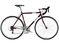 Wilier Strada Claris,  Steel Frame,  Training Bike,  2015-X Large