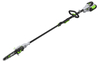 Ego Power+ PS1000E 56V Cordless Telescopic Pole Pruner (Power Unit)