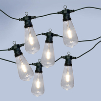 Easyfit 12V Garden Lights - Squirrel Cage LED Festoon Lights - 10 Lights