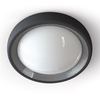 Edit 13W LED Coastal Outdoor Flush Light - Dark Grey