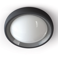 Edit 13W LED Coastal Outdoor Flush Light - Dark Grey