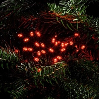 Edit 17.92M Berry Red LED Multi-Function String Lights - Green Cable - 240 Lights
