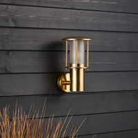 Edit Coastal Ives Outdoor Wall Light - Brass