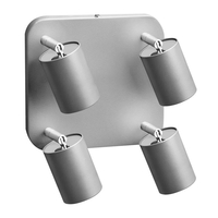 Edit Eye 4 Light Spotlight Plate - Silver