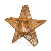 Edit Star LED Feature Light with Remote Control