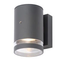 Forum Lens Outdoor Wall Light with Dusk to Dawn Sensor - Anthracite