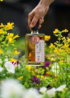 Dailuaine 13 years old whisky (cask 301702A)